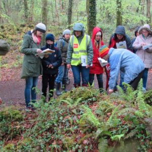 Ballybeg Woods Bio Blitz 2016