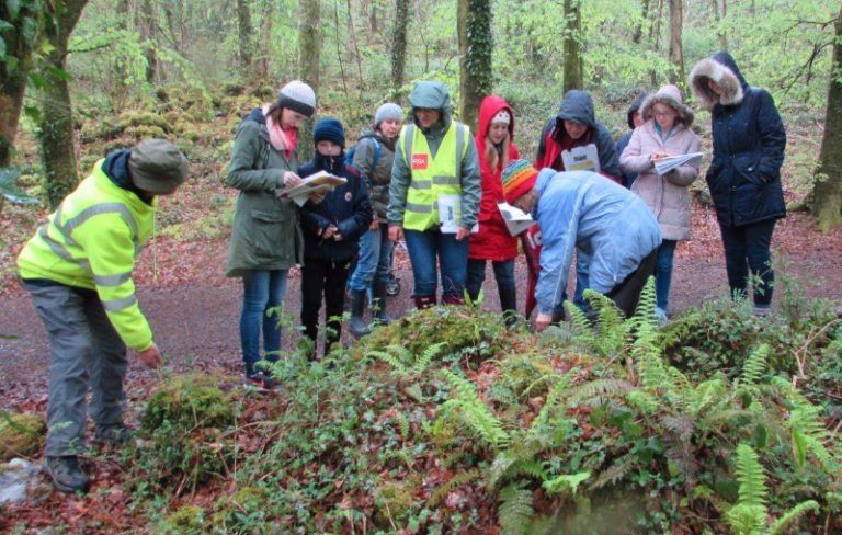 Ballybeg Woods Bio Blitz 2016