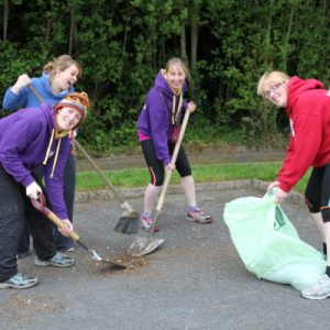 Tidy Towns April 2013